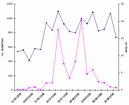 Variation in butterfly numbers with temperature
