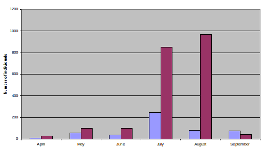Variation in butterfly numbers by month, 2008-2009