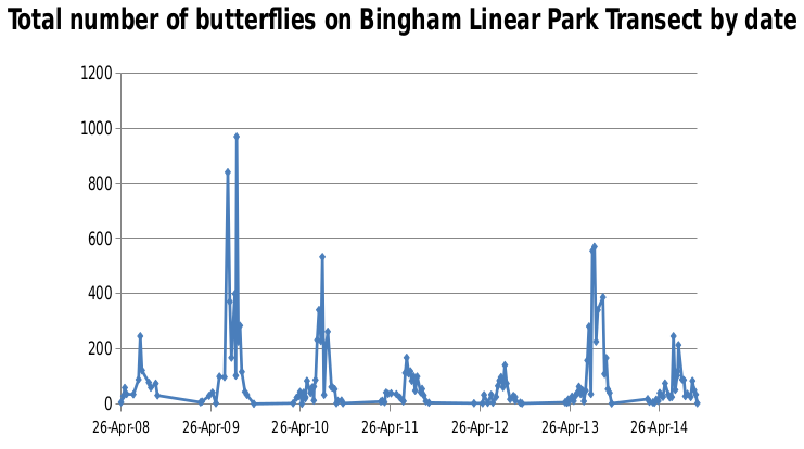 Total number of butterflies on Bingham Linear Park Transect by date